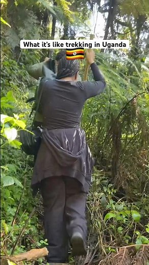Trekking in Uganda, Bwindi Forest | the rainforest