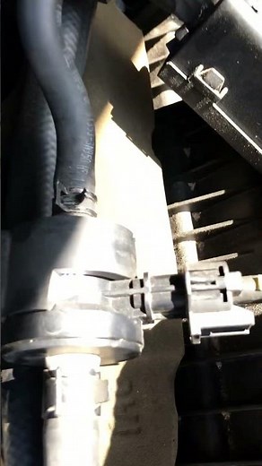 Testing the evap purge valve on Genesis 5.0 #p0441