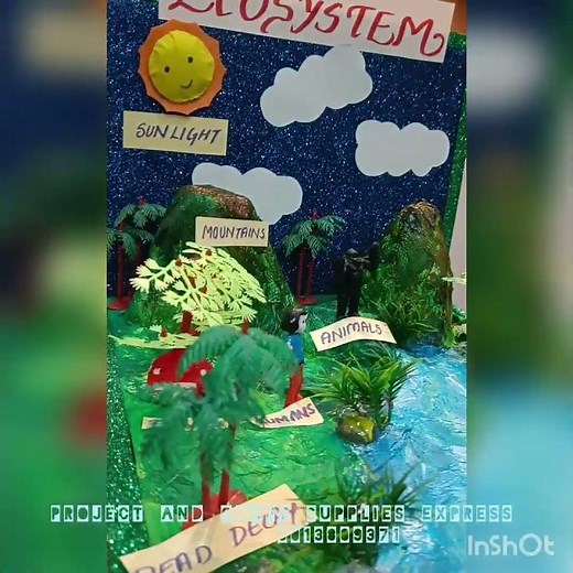 BIODIVERSITY SCHOOL MODEL | ECOSYSTEM SCHOOL MODEL |SCIENCE EXHIBITION MODEL🍃♻️🏞️💚🌱 #diy