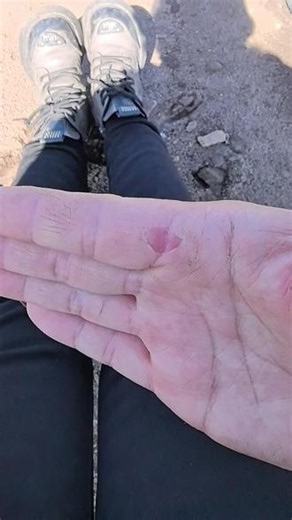 80后回乡创业，#中药材红景天种植， 远离城市的喧嚣和紧张，我们回归到田园的宁静和自由，感受生活的平静和和谐，享受大自然的美丽和神韵。