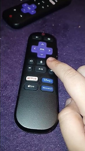 NEC Roku TV Remote Tutorial