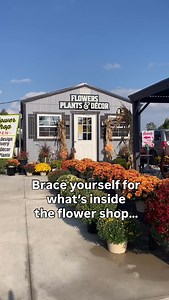 Small space? BIG offerings. 🧡💛🌻🍂 Our flower shop is absolutely packed with everything fall! Fresh flowers? ✅ Fall planters? ✅ Fall décor? ✅ Silk flowers? ✅ Purses and jewelry? ✅✅Houseplants? ✅✅ Still wondering what’s inside the “little house”? ☺️ Pop in and take a look today 👀🍁🫶🏻 Share with a friend who needs a fall pick-me-up 🎃 #fallvibes #ryersegardengallery | Ryerse Garden Gallery