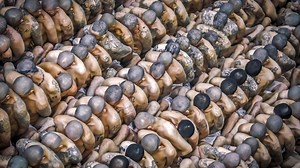 Guerra contras las maras en El Salvador: paz en las calles, 65.000 detenidos y denuncias por graves abusos