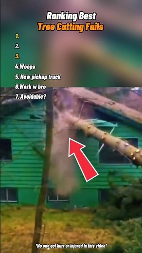 Best Tree Cutting Fails Ever #fail #funny