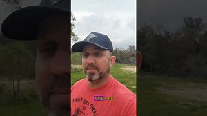 Tips for hunting feral pigs successfully