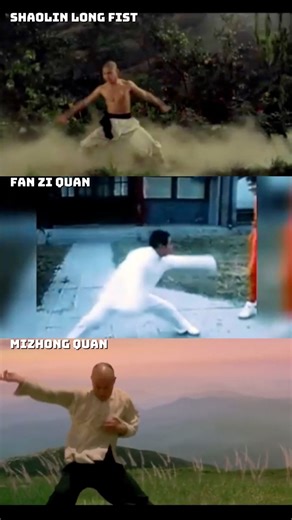 The three styles of Jet Li is poetry in motion. Shaolin Long Fist, Fanzi Quan and Mizhong Quan seen in Shaolin Temple, Once Upon A Time in China and Fearless. #jetli #wushu #martialarts #kungfu #shaolintemple #fearless #wongfeihung | Preserved Dragons