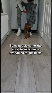 Trunks the Boxer on Reels
