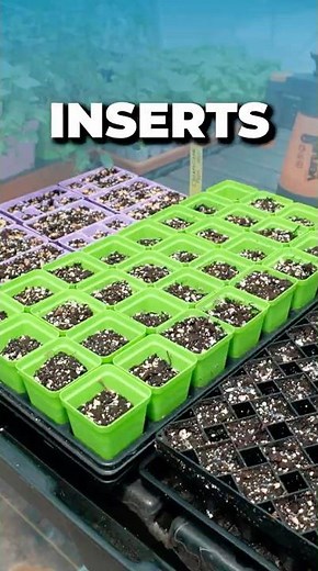How to Choose the Right Insert