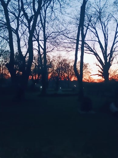 a beautiful sunset #sunset #sunsetvibes