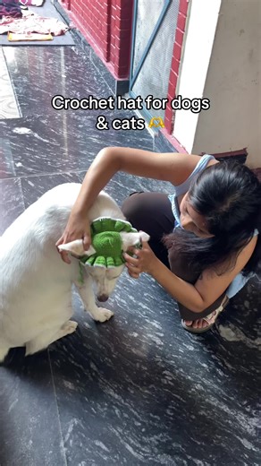 Crochet Hats for Dogs and Cats: Cute Accessory Ideas