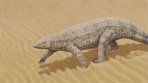 The rise of the ruthless archosaurs that ruled the Triassic