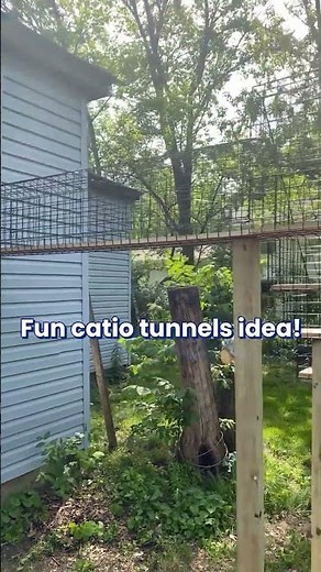Fun Cat Run Made From Habitat Haven Catio Tunnels