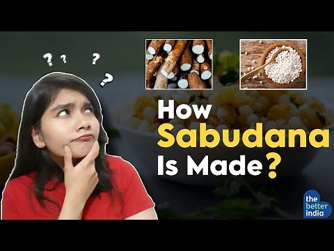 How Sabudana is Made ? || History || Travancore, Kerala || 1800s Botanist Thirunal Rama Varma