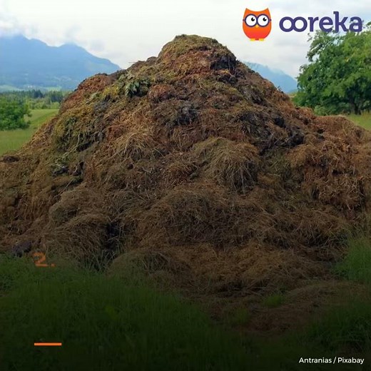 Alléger une terre argileuse