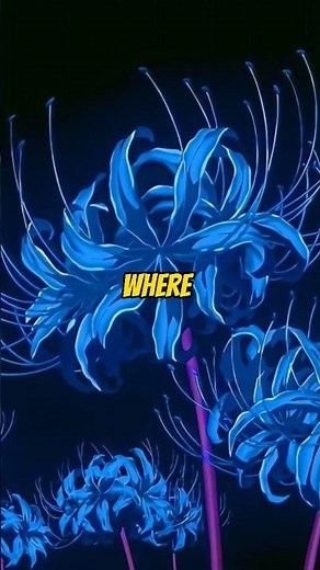 Uncover the location of Blue Spider Lily - from Demon Slayer!