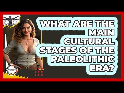 What Are The Main Cultural Stages Of The Paleolithic Era? - Anthropology Insights
