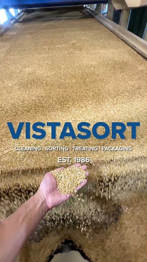 Vistasort | Cleaning, Sorting, Treating, Packaging From combine to bag, Vistasort delivers precision at every stage. Engineered in Saskatoon to support grain and seed processors nationwide & across the globe. Contact us today 👇 | Vistasort