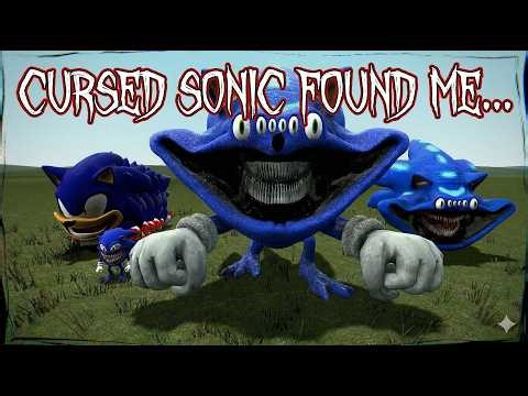 Surviving EVERY LEVEL Of SONIC EVOLUTION! (Garry's Mod)