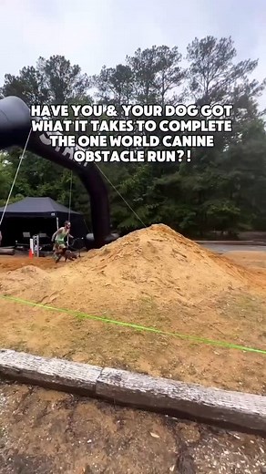 533K views · 7.3K reactions | DO YOU HAVE WHAT IT TAKES?! Sign up today for the One World Canine Obstacle Run and race alongside your furry best friend! Don’t miss out on the ultimate adventure for you both!  May 17th - Anniston Alabama ⬇️GET YOUR TICKETS TODAY⬇️ LINK IN BIO #oneworldcanineobstaclerun #dograce #obstaclecourse | OneWorld Canine Obstacle Run | Facebook
