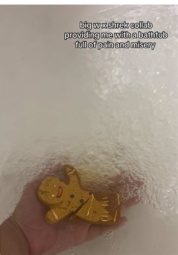 Shrek Bath Bomb Experience: A Comedy of Pain