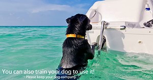 How To Install A Boat Ladder - Simple And Easy Tips!