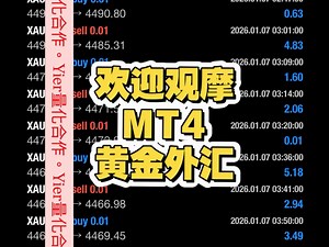 实盘，六套EA策略，最久的观摩22个月，欢迎了解，只跟单，不贩售，不租赁，不分润，只收佣金