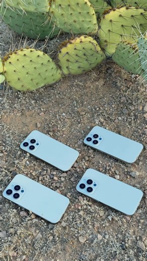 23K views · 15 reactions | Picture perfect cases for your summer. ☀️​ #OtterBoxIt #OtterBox #phonecase #phoneaccessories | OtterBox | Facebook