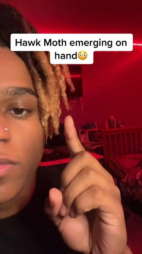 join telegram channel : https://t.me/toptrendnewcom | ItsMarr