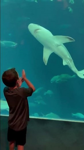 Charleston Family Vacation Recap