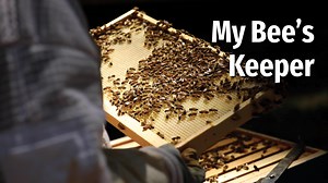 My Bee's Keeper