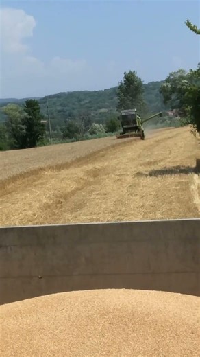 class protector #music