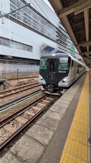 JR東日本 E257系5500番台(宮オオ) OM-51 特急「谷川岳ループ号」 9076M 新宿行き 越後湯沢駅入線 ※2025年10月撮影