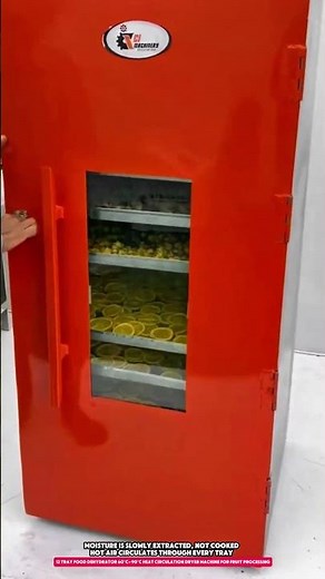 12 Tray Food Dehydrator 60°C–90°C Heat Circulation Dryer Machine for Fruit Processing
