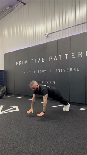 PLYO PUSH UP (AUDIO DESCRIPTION)