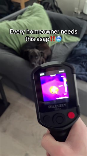 Better Alternatives (@betteralternatives)’s videos with original sound - Better Alternatives