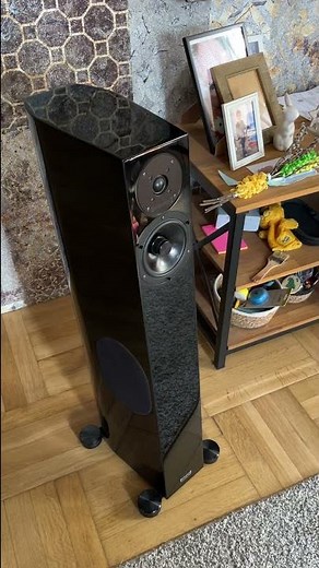 Ghost Rider & Audio Physic Tempo 6