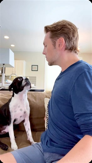 253K views · 13K reactions | Dog’s First Date Interrogation Ever had a first date where you had to pass the ‘dog test’?  Watch as I enter her house for the first time and her dog immediately gives me the third degree, just like in the movie Uncle Buck with John Candy and Macaulay Culkin!  Will I get the paws up or the paws down? | Ash & Bowser | Facebook