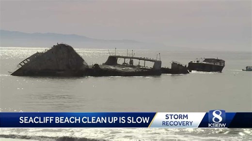 Volunteers needed to clean up Seacliff State Beachfront