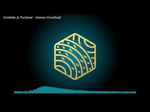 Teminite & PsoGnar - Senses Overload (2015)