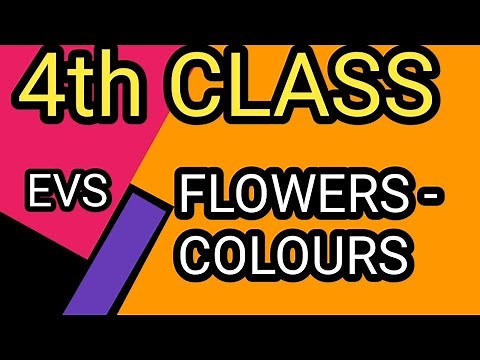#4th Standard //EVS //Lesson: 5//Flowers - Colours#learnwithmechannel