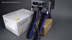 The adjustable and interchangeable graspers pick up objects weighing as much as 10 lbs with widely varying geometries and structures. Bagged cloth, wire frames, bows, and deflated sports balls are some of the many objects that the gripper can pick. Project by: Soft Robotics Inc. Source: Soft Robotics Inc. via Youtube channel If you are the copyright owner of this video and would not like to have this content featured on this channel, direct message us to have us remove it. | Wevolver.com