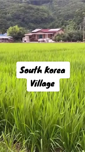 Exploring Korean Village Life in South Korea