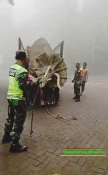 Living Triceratops Dinosaurs Still Found In Indonesia ! Jurassic Park Dino Collection In Our World!