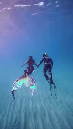 201K views · 3.1K reactions | A mermaid falls in love with a diver 冀 tail by Merbella Studios Inc. #mermaidcore #mermaid | Mermaid Sirenity | Facebook