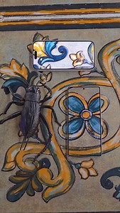 153 reactions | How good is the screen quality of Samsung mobile phones? #MobileDigital #Samsungs25ultra #mobile phone screen #SamsungOfficial flip machine | kasim__tech | Facebook