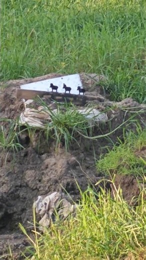 metal Silhouette shooting practice by: Rhio Y. Dig