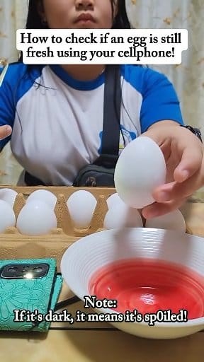 How to Chéck using Cellph0ne! #eggs #tipsandhacks #cellphone #tutorial #tipsandtricks #tips #lifetips #tutorialreels #tips #tutorialvideo #tipsoftheday #secret #hacks #tipsforyou #hacksandtips #KitchenHacks | Alyssa Claire