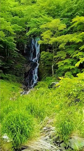 ◉白糸の滝
