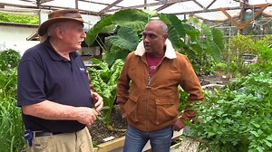 4K views · 164 reactions | Always great to meet one of our students. Jagadish did our last Online Aquaponics Design Course and decided to track down Murray Hallam and visit his aquaponics farm. Murray asked him what he thought of the course and Jagadish didn't hold back. Check it out! | Aquaponics Design Course | Facebook