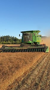 3.6K views · 72 reactions | Direct harvesting meadowfoam懶 #meadowfoam #farmtok #familyfarm #harvest #johndeere #header #combineharvester | GS3 Quality Seed Inc. | Facebook